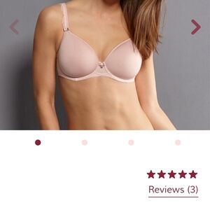 NWOT Anita Rosa Faia Women's Pink Bra